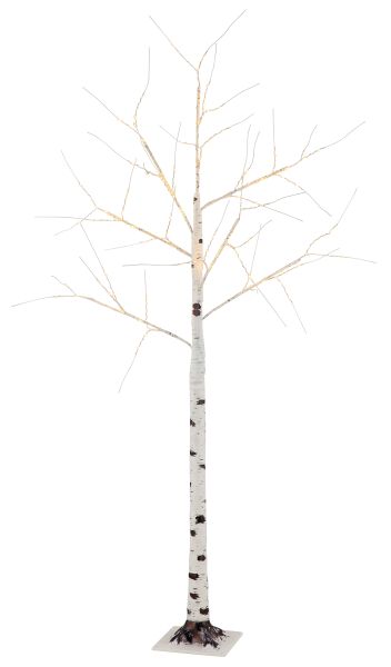 BIRCH